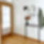 Minimalist Hallway Interior Design