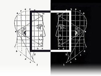 SEEING SENSE