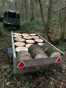 log slices being transported in a trailer