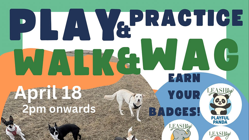 Play & Practice  (North) 