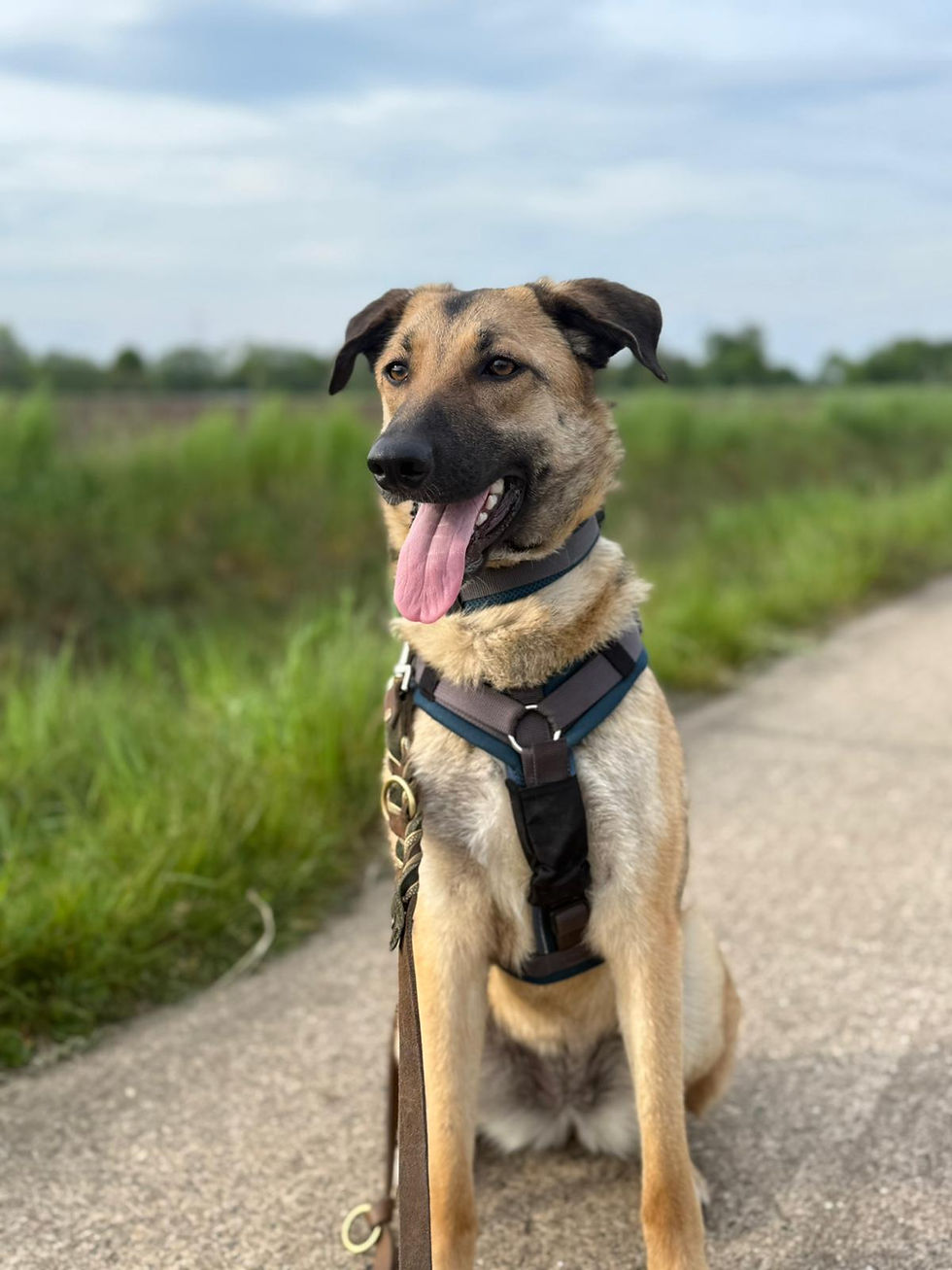 NALA
