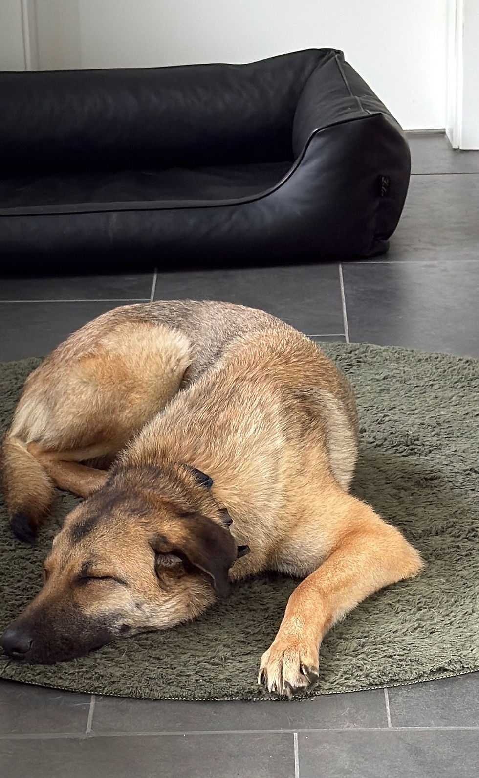 NALA