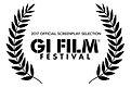 GIFF2017.jpeg