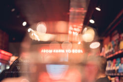 Village StudioWLR-2423