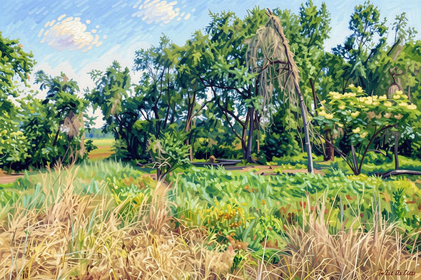 Hermitage Nature Area