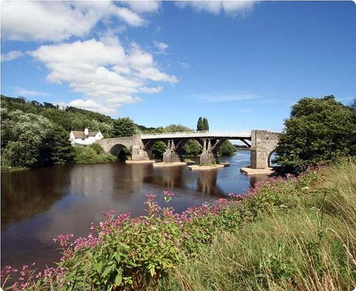the-bridge-view-from
