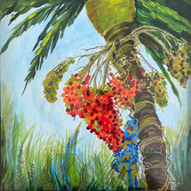 Date Palm In Bloom