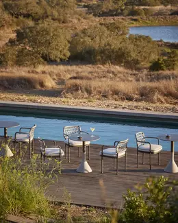 CURIO Dining Chairs positioned poolside on a stylish outdoor deck. 