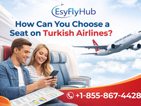How Can You Choose a Seat on Turkish Airlines?