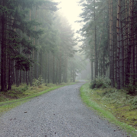 Image-empty-state.png