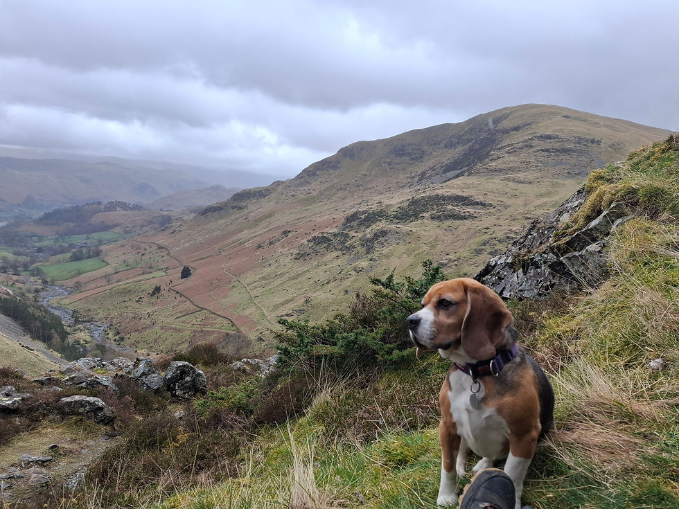 🌧️ Embracing the Unplanned: Finding Joy When the Trail Goes Sideways.