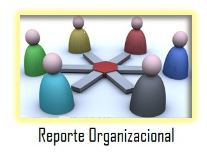Organizational Report