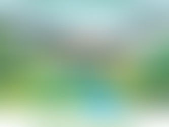 REJOIGNEZ-NOUS À LA JOURNÉE FESTIVE ET DE RÉFLEXION D'ALTERNATIVES AU PONT POUR BIEN VIVRE À CÉRET !