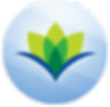 Leumit logo