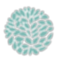 msaha logo