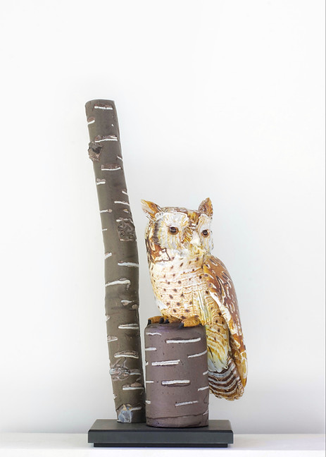 Karen Willenbrink PG Gallery.JPG