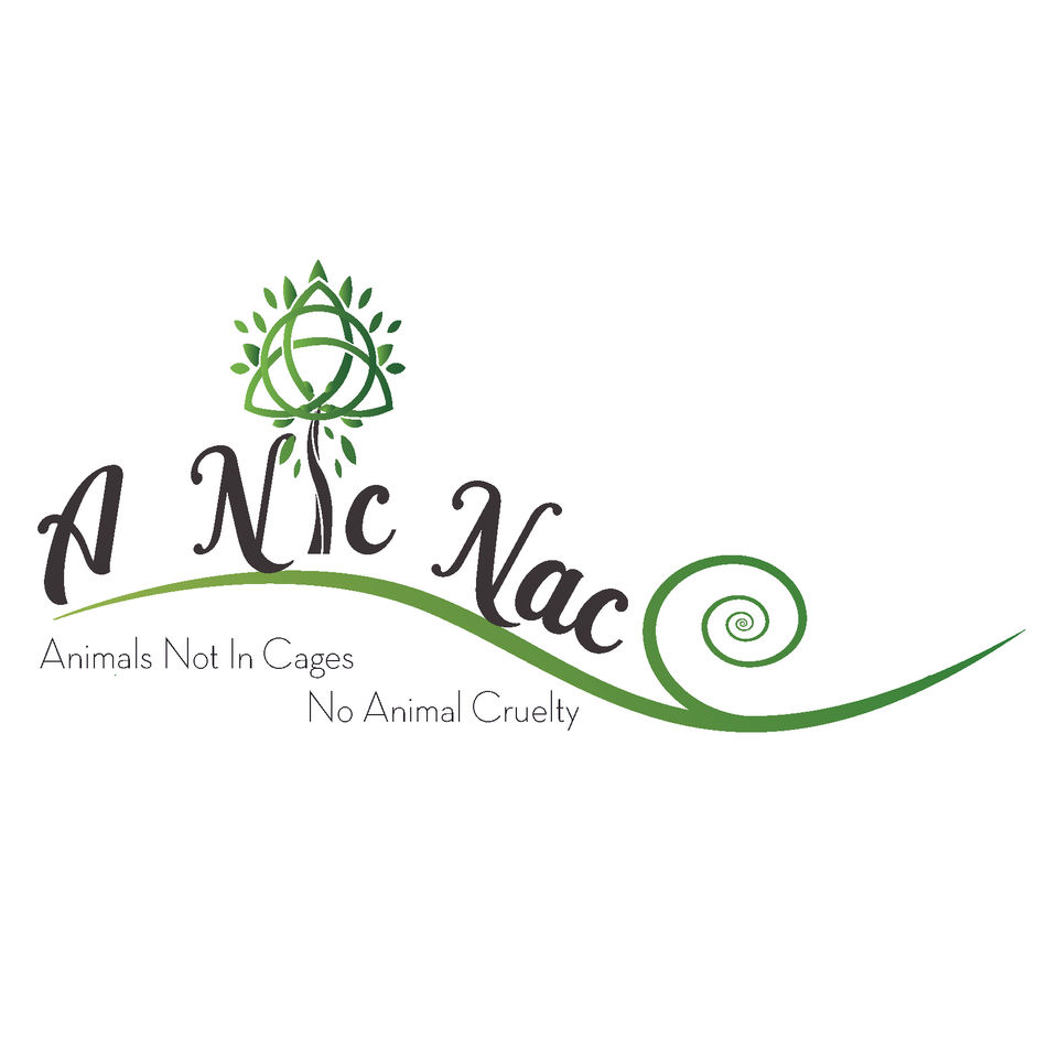 A Nic Nac