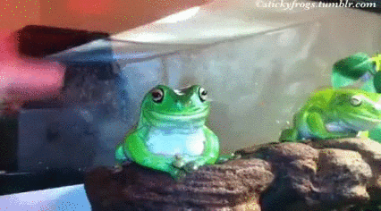 What... Why are... Knock it... Hey... STOP!