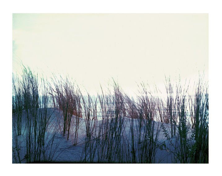 Miniature : POLAROIDS de Marion Barat