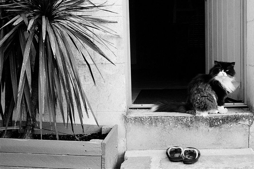 Miniature : FAYE DIVERS de BERNARD DROUILLET