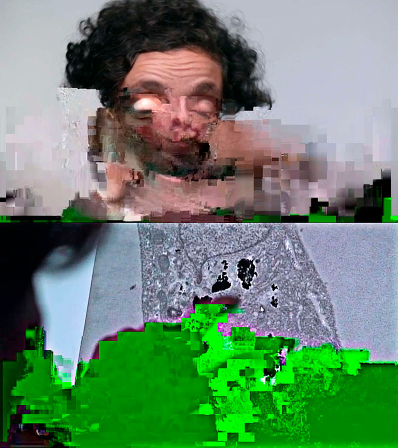 Miniature : SMARIS ELAPHUS