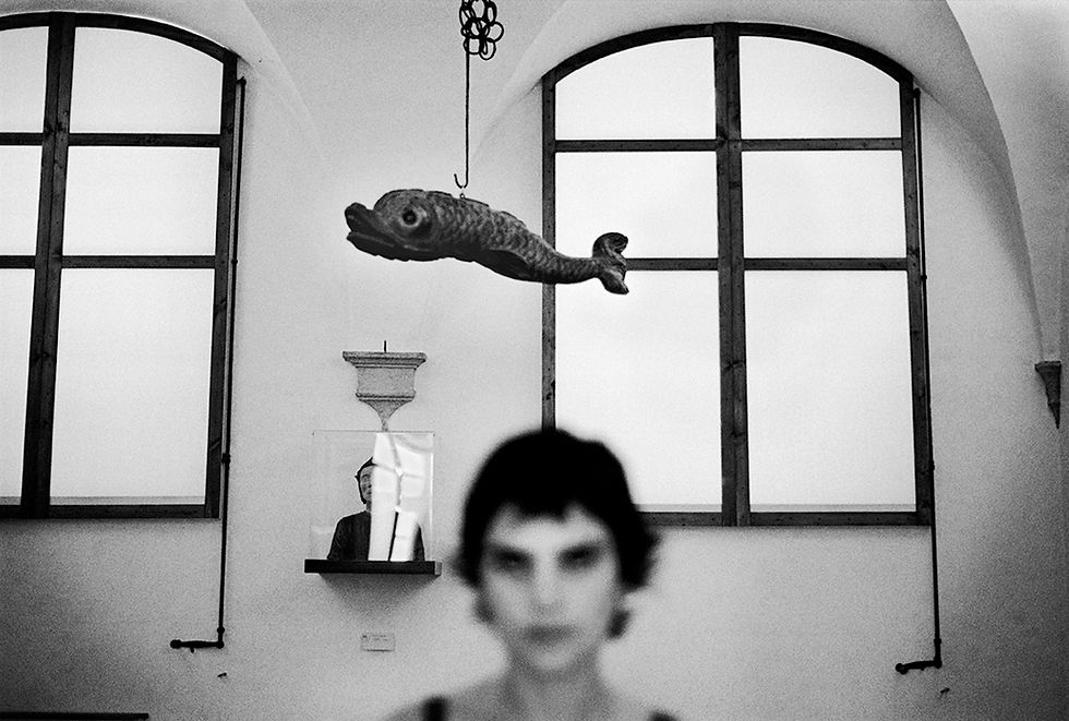 Miniature : VIVRE. Jean-Luc Aribaud