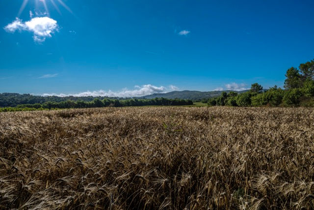 Miniature : NATURES un livre d'HENRI KARTMANN