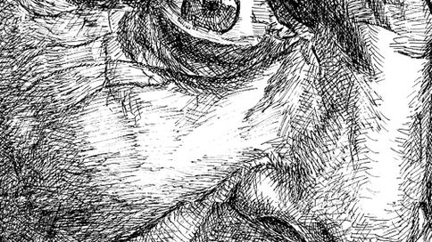 Ilustraciones y dibujos