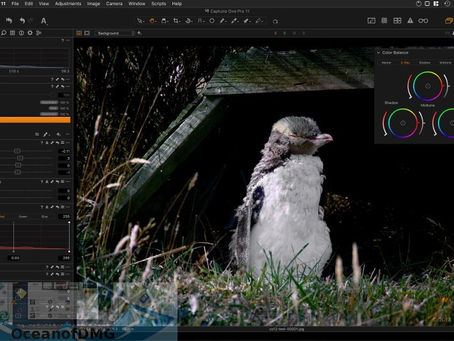 Capture One Pro 20 Crack MacOS MacOSX ((HOT))
