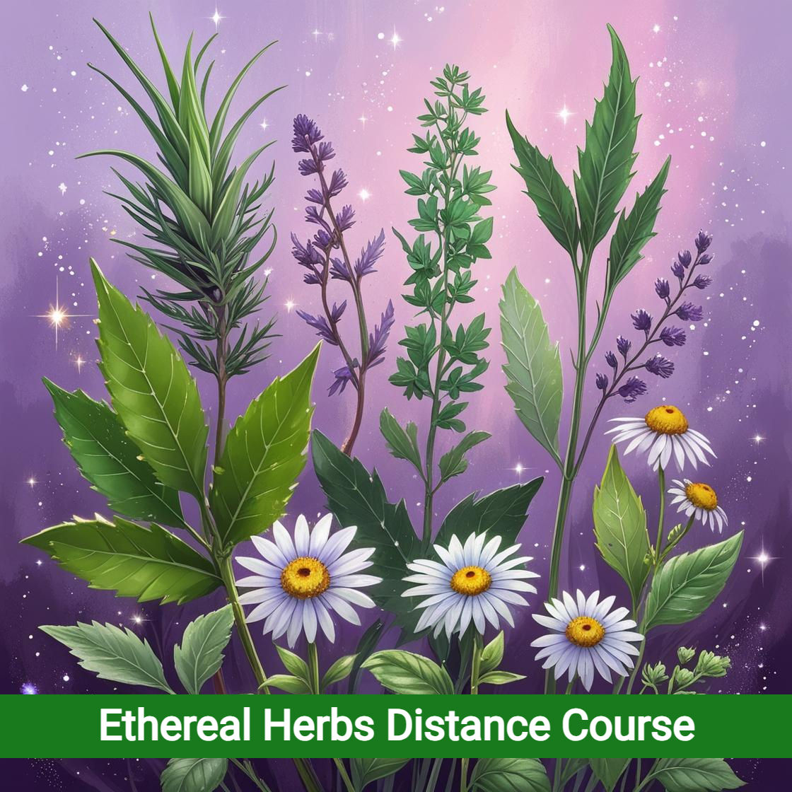 Ethereal Herbs Distance Course
