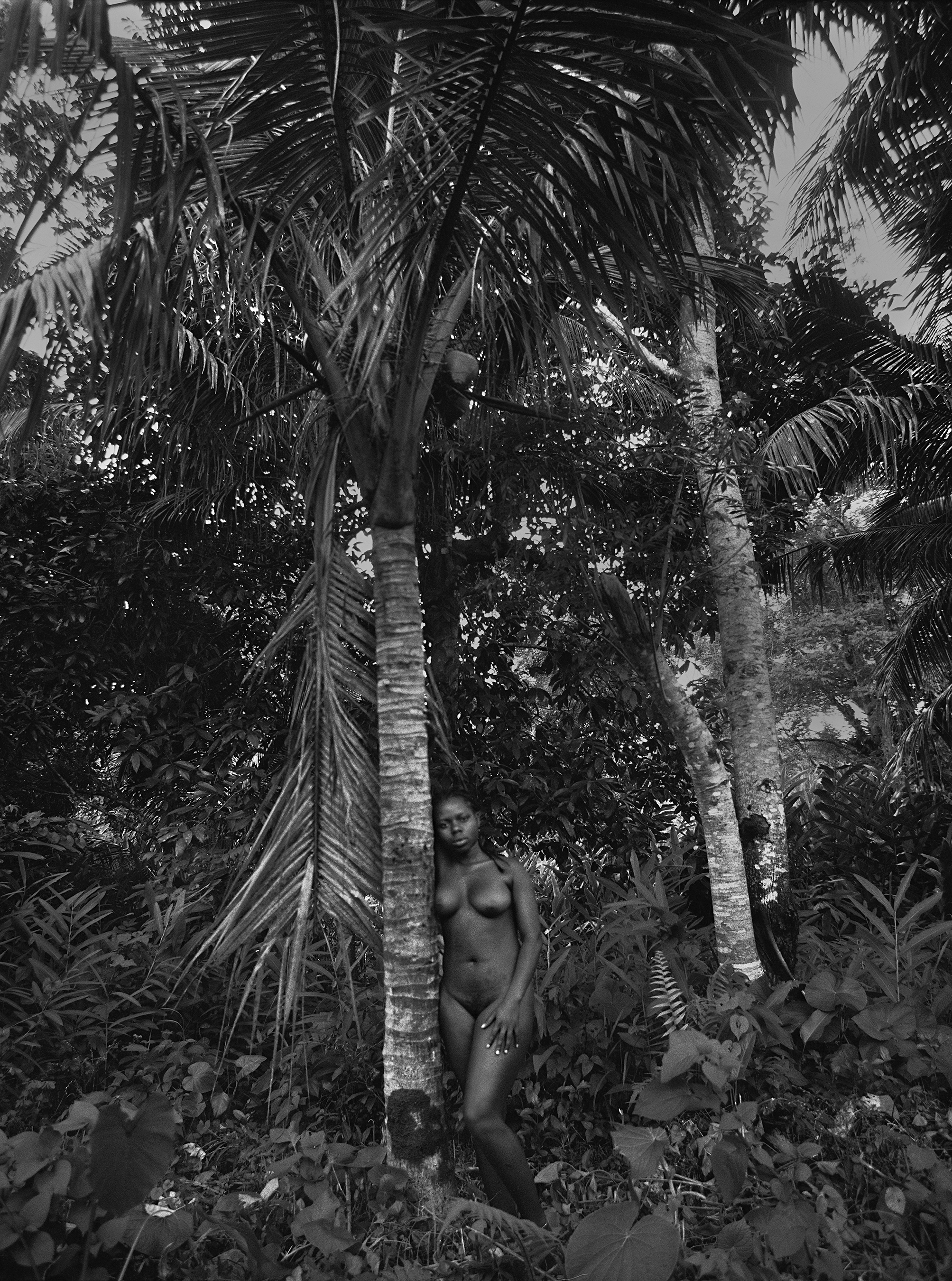 Renee cox essay image