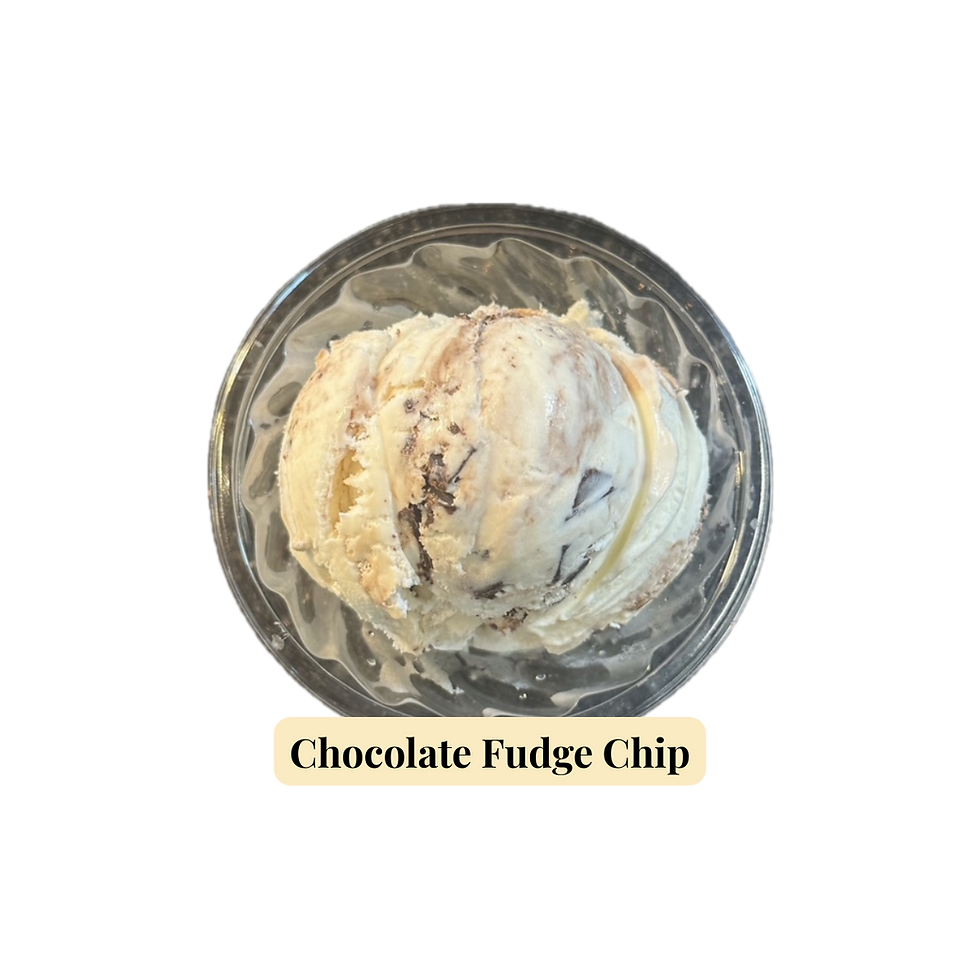Chocolate Fudge Chip