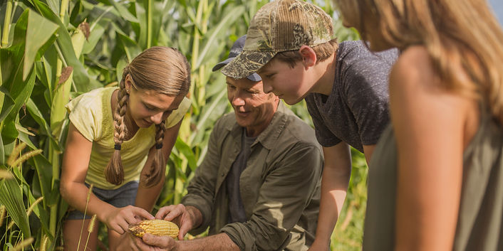 Examining the Crops_edited.jpg