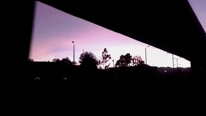 Feedback 04 (1).gif