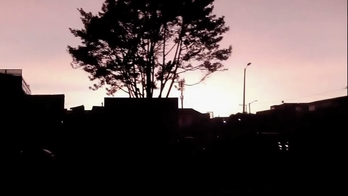 Feedback 05.gif