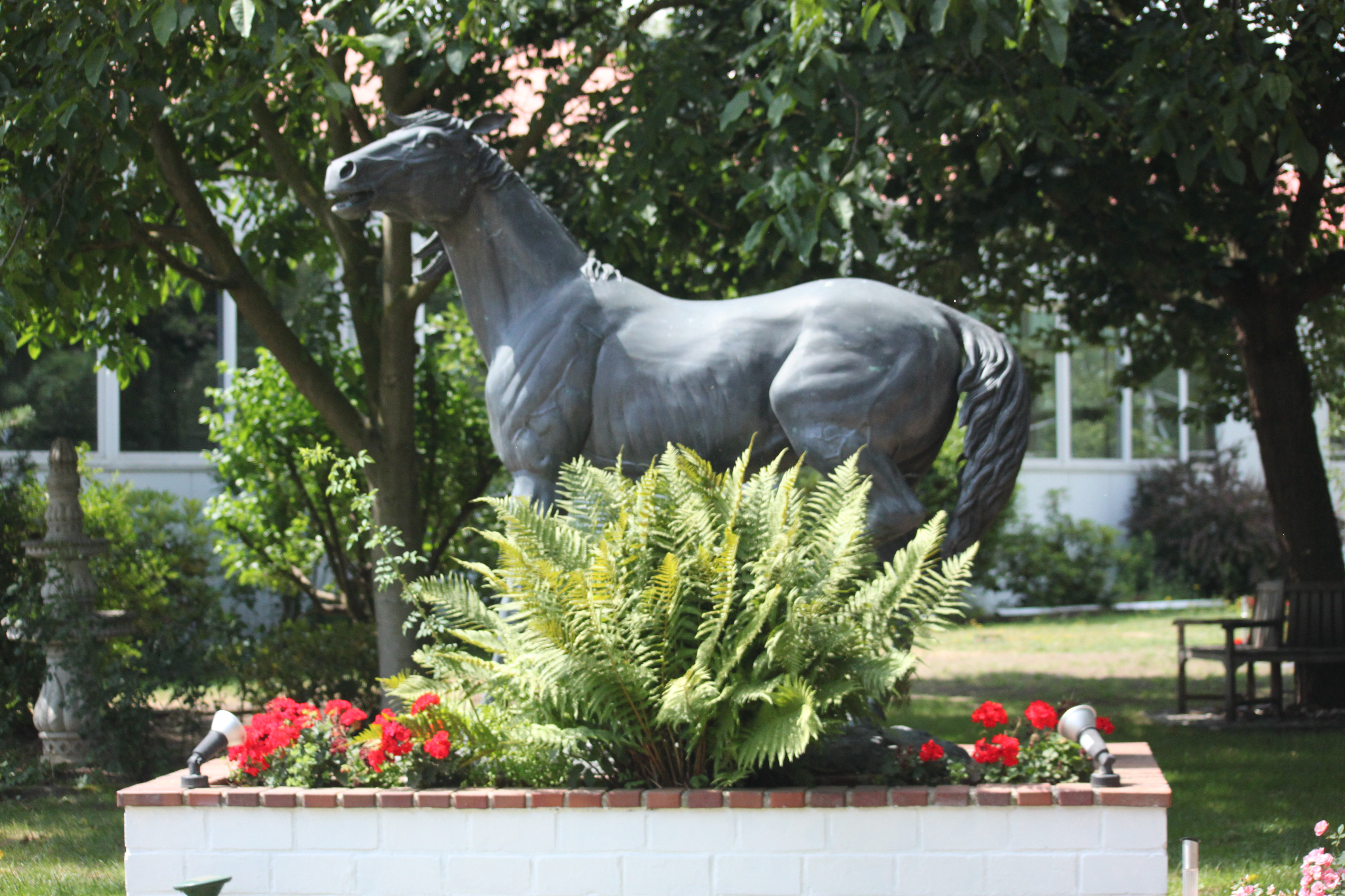 Reitanlage