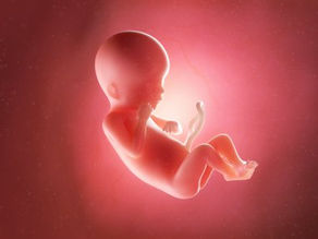LEGISLATIVE POLICIES ABOUT ABORTION IN 2019