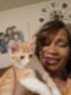 Peaches my kitten