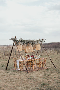 Vineyard Wedding 9