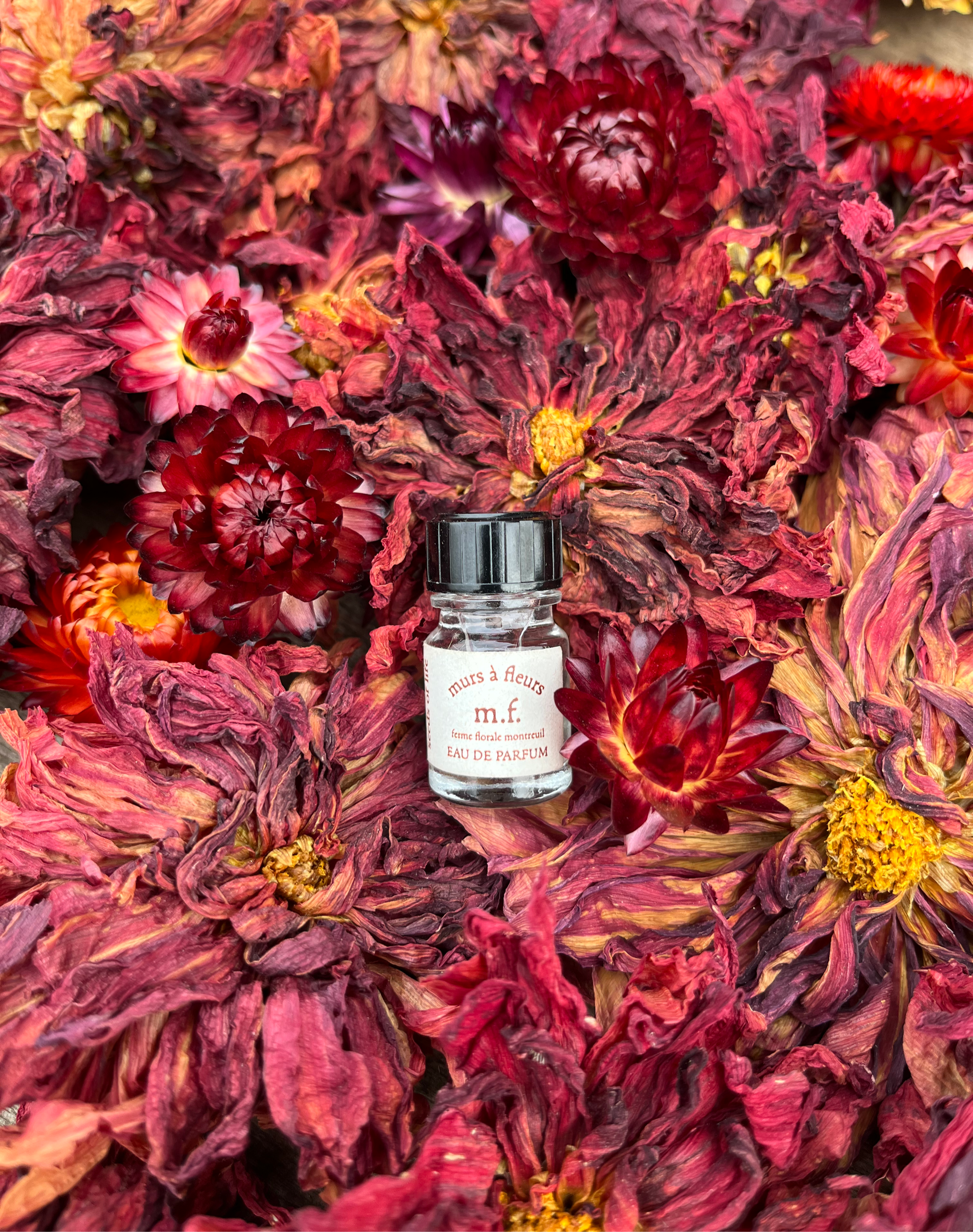 Eau de parfum seine saint denis montreuil marmotte