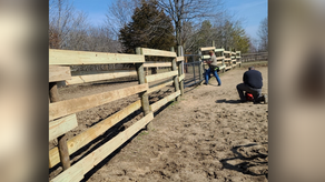 Veteran-Owned Ranch Gives Back to the Indy Veteran Community