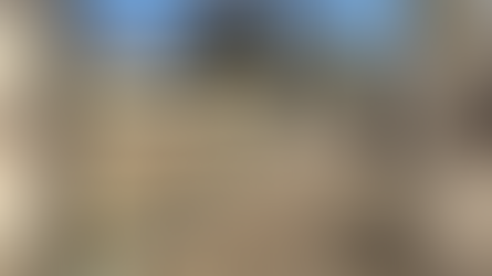 Veteran-Owned Ranch Gives Back to the Indy Veteran Community