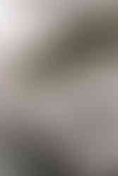 table decor at boxwod manor