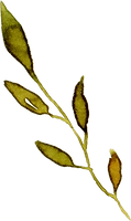 2542 (23).png