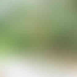 light curtain wedding reception