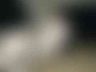 bride and groom leaving wedding in getaway car at the Peach Orchard Venue