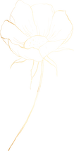 LineArt_25_gold.png