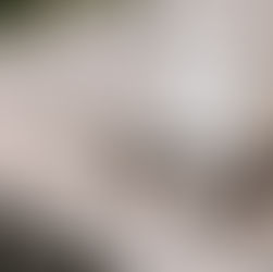 Tessa and Tyler | Elegant Emerald and Black Wedding | Boxwood Manor | Houston, TX