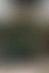 The Peach Orchard Wedding Venue