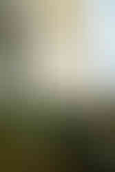 simple wedding seating chart